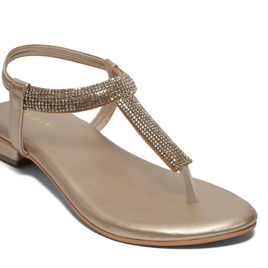 Aarvi Embellished Flats Regina Footwear