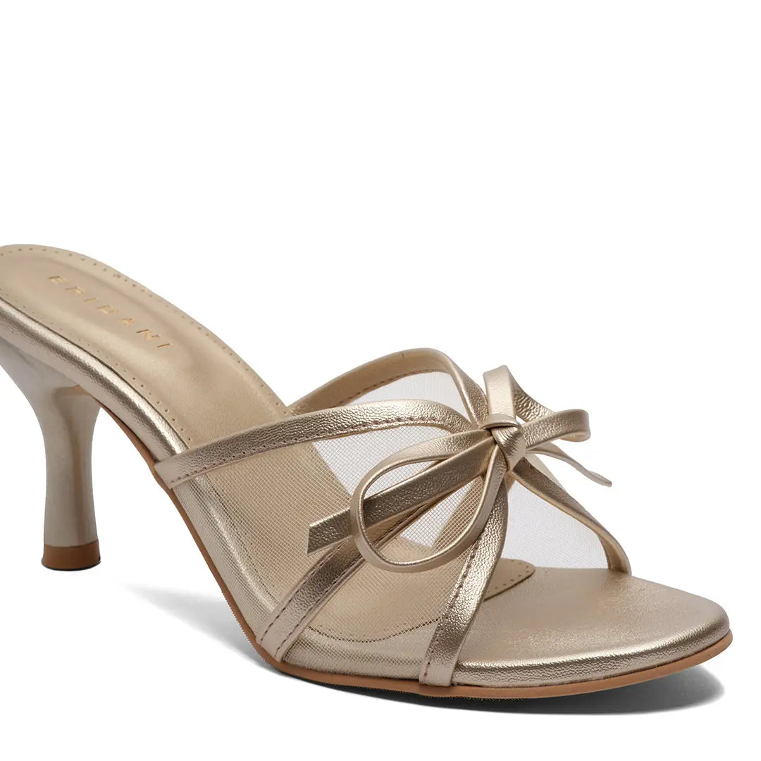 Aliha Stiletto Heels Kainat Shoe