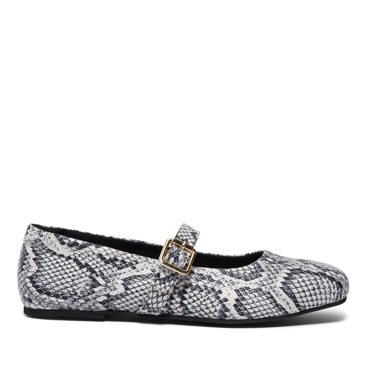 Dion Snake Print Ballerinas