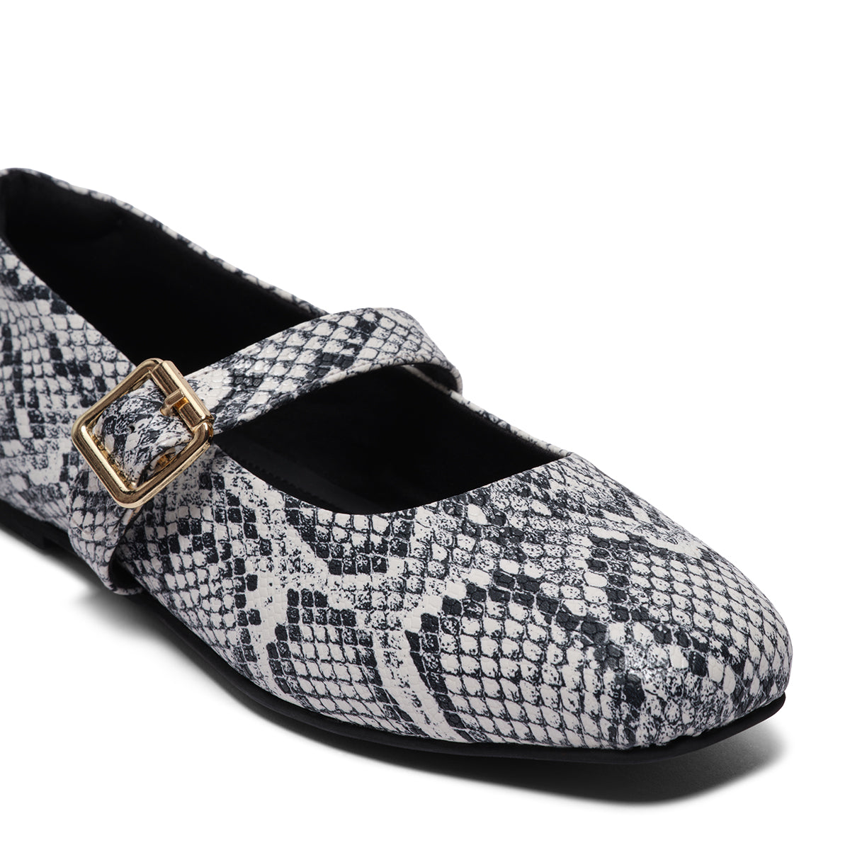 Dion Snake Print Ballerinas