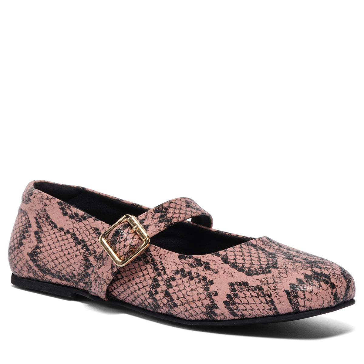 Dion Snake Print Ballerinas
