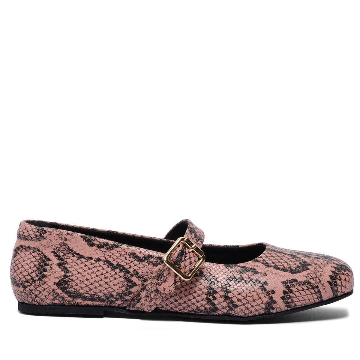 Dion Snake Print Ballerinas