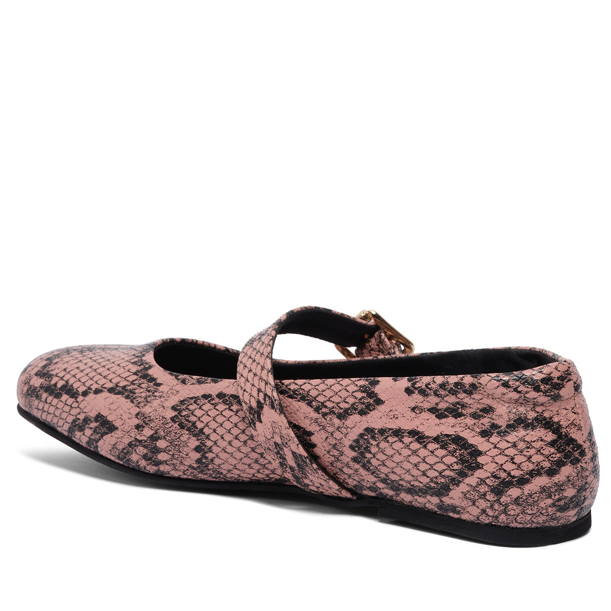 Dion Snake Print Ballerinas