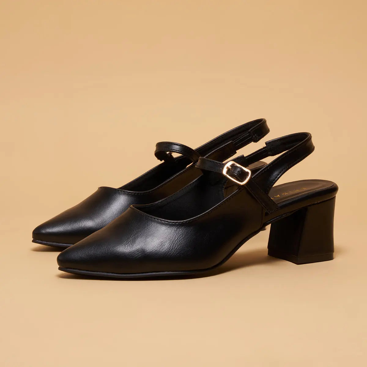 Lunaa Formal Pumps Status Shoes