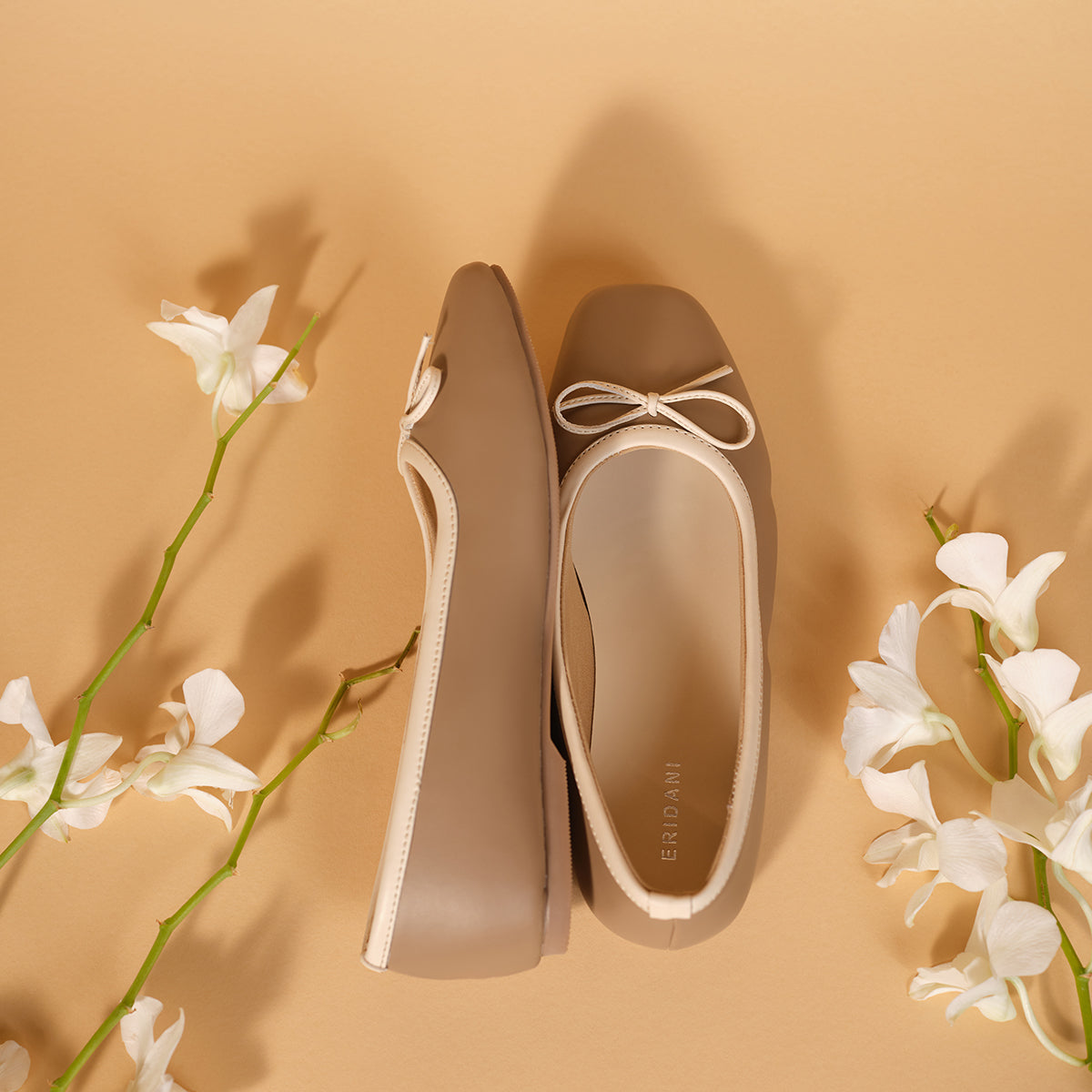Nadine Solid Ballet Lallan Shoes Eridani