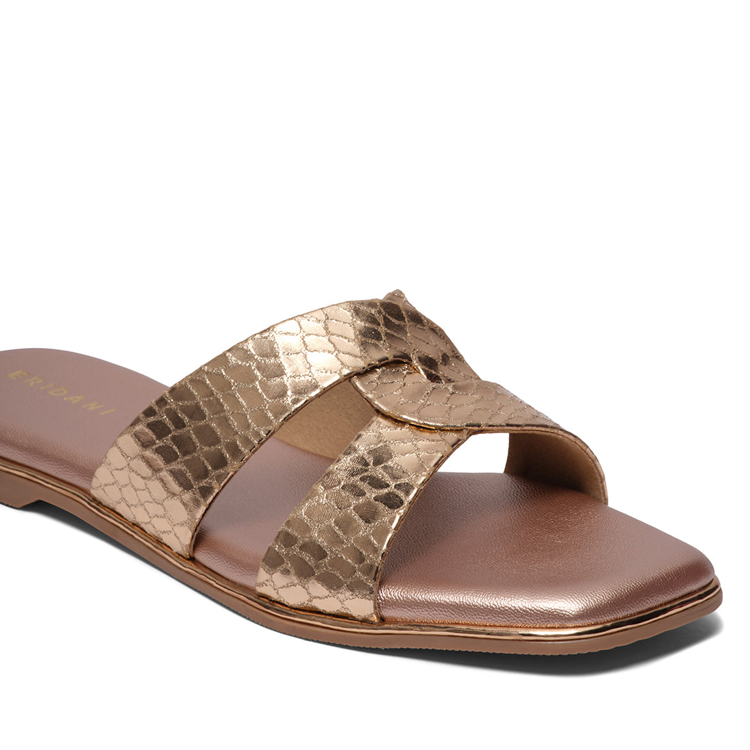 Anaisha Metallic Flats