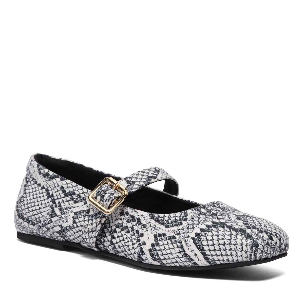 Dion Snake Print Ballerinas